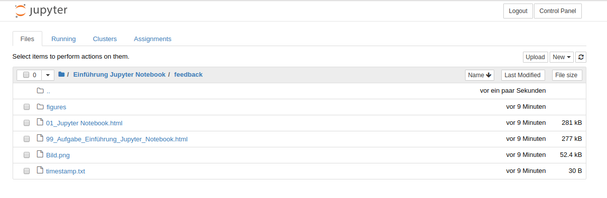 HTML Dateien der mit Punkten versehenen Abgaben