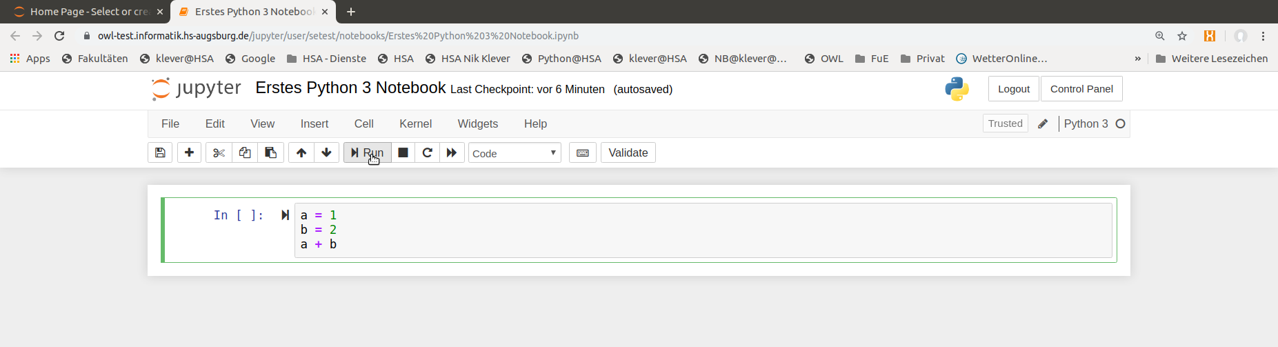 Eingabe und Ausführen von Python Code