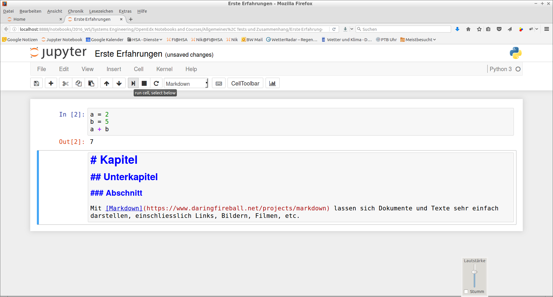 Eingabe in eine Notebook Markdown Zelle